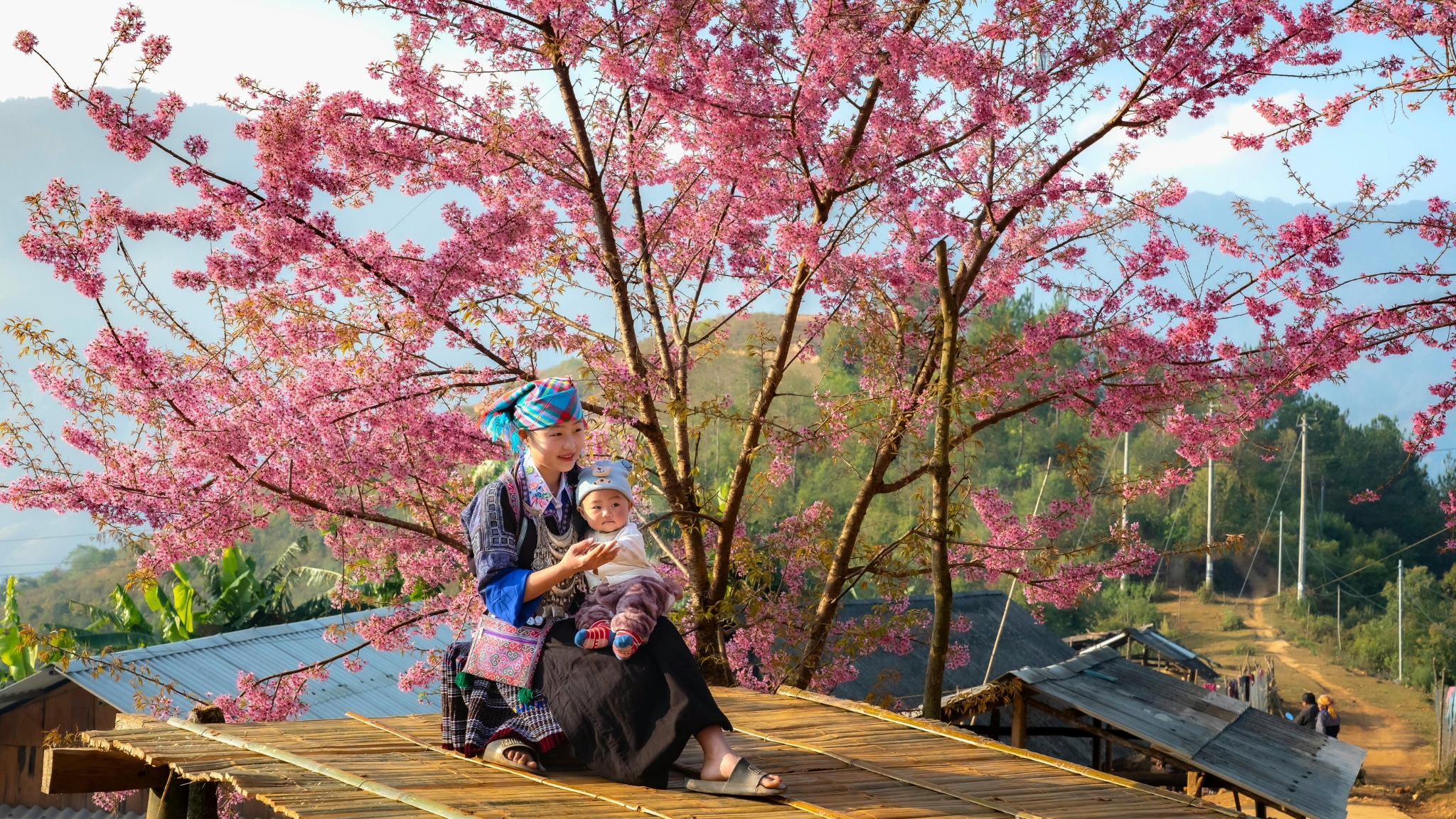 Vietnam in Style: Curated Family Journey through Northern Vietnam 9 days