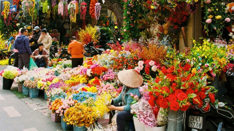 Signature Voyage Across Cultures: Grand Journey Through Vietnam & Cambodia 21 days — Gallery image 20