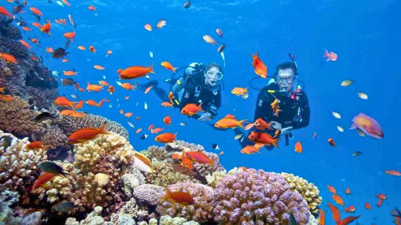 Day 5 – Phu Quoc Scuba Diving
