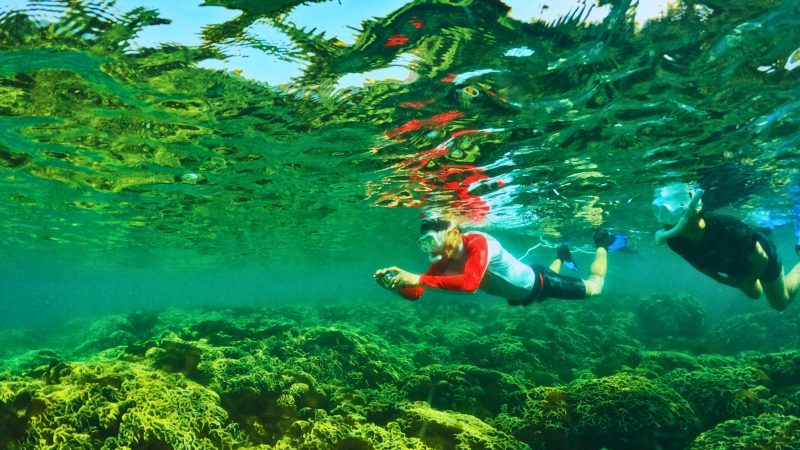 Day 6 – Phu Quoc Coral Reefs 2