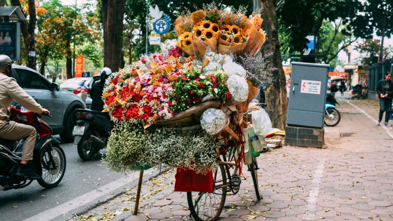 Restore & Reconnect: Vietnam Refined Wellness Retreat 9 days — Gallery image 7