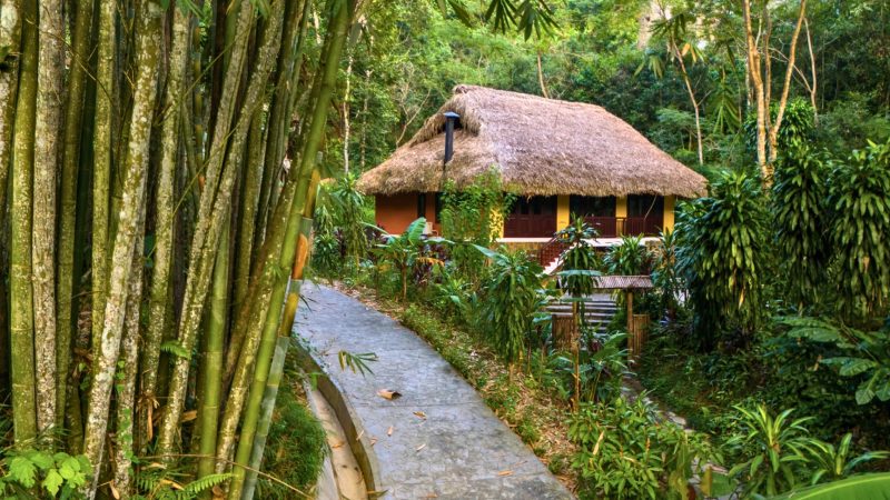Restore & Reconnect: Vietnam Refined Wellness Retreat 9 days — Gallery image 9