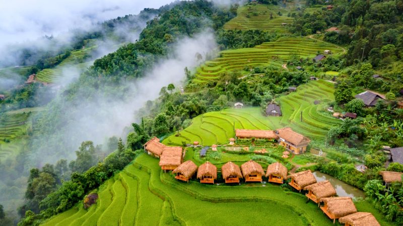 Restore & Reconnect: Vietnam Refined Wellness Retreat 9 days — Gallery image 10