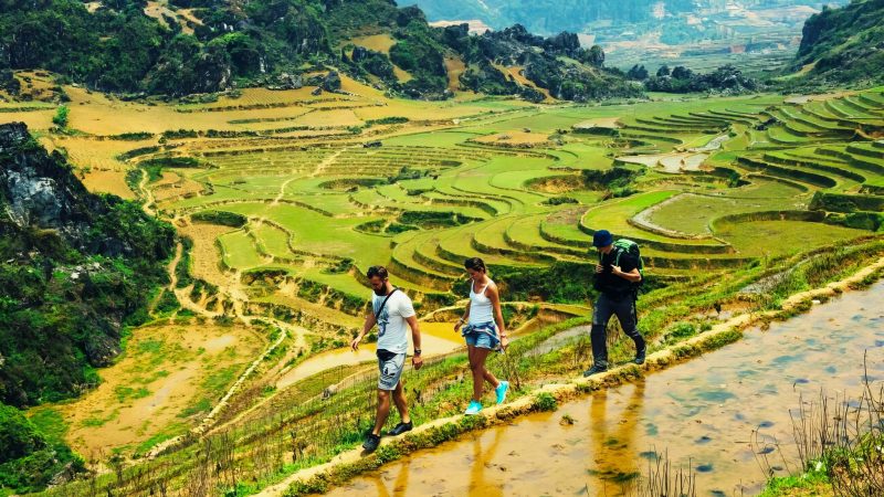 Restore & Reconnect: Vietnam Refined Wellness Retreat 9 days — Gallery image 12