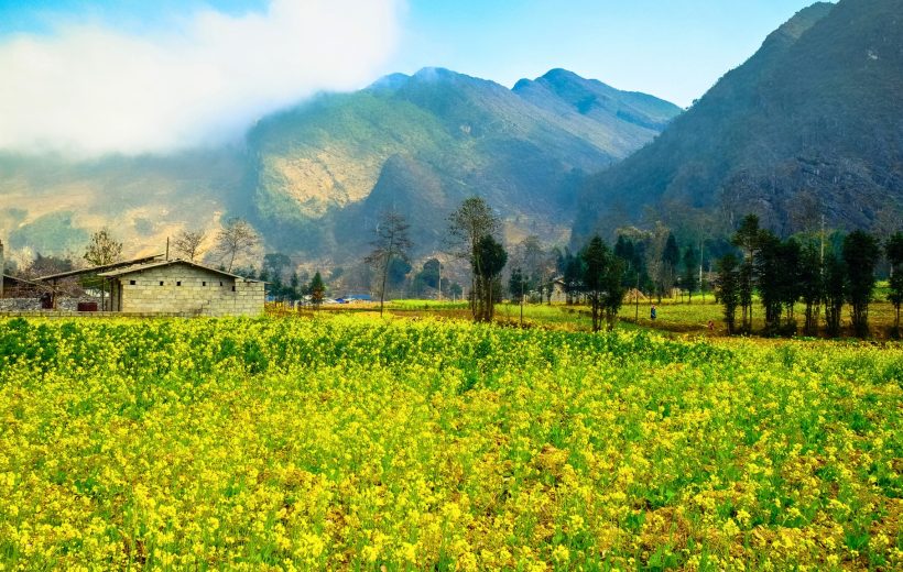 Restore & Reconnect: Vietnam Refined Wellness Retreat 9 days