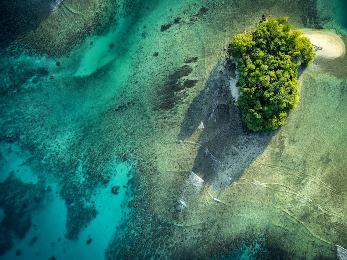 Untouched nature surrounded by turquoise water